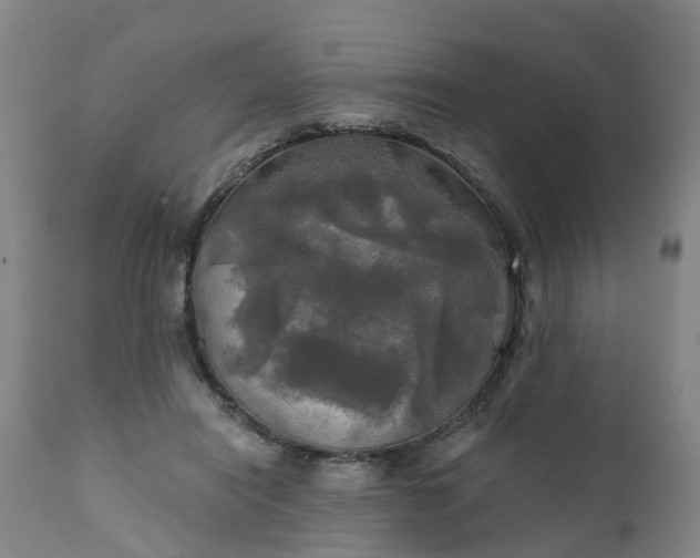 X0000111240454200907091403