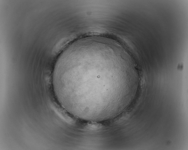 X0000111240455200907091403