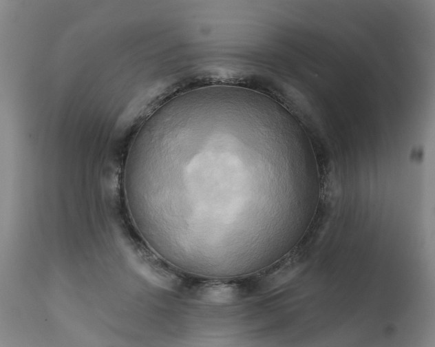 X0000111240456200907091403