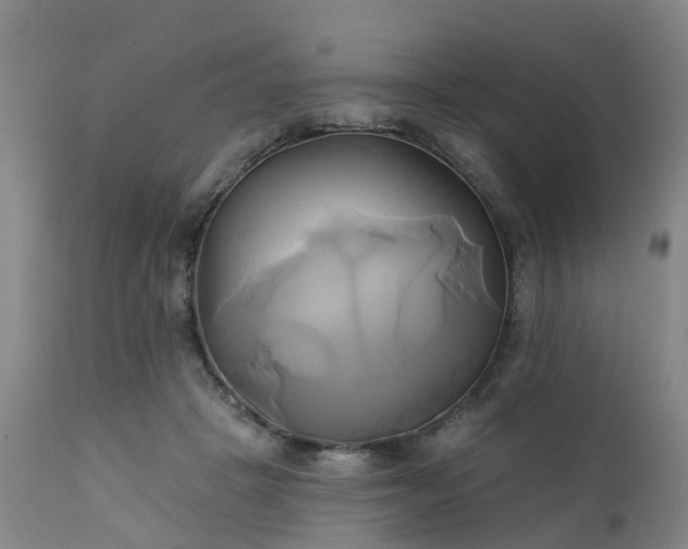 X0000111240457200907091403