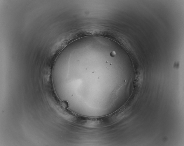 X0000111240458200907091403