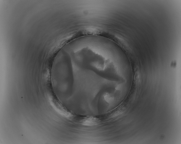 X0000111240459200907091403