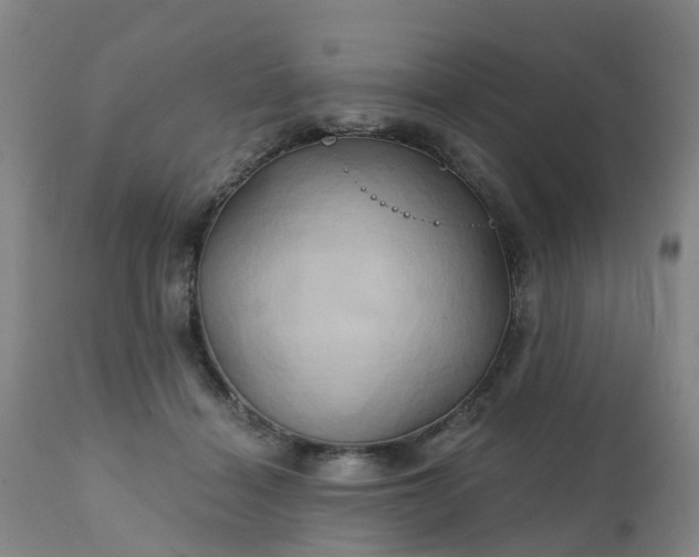 X0000111240460200907091403