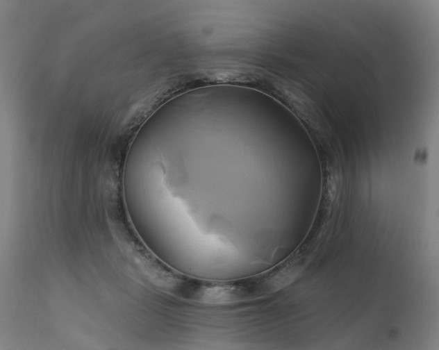 X0000111240461200907091403