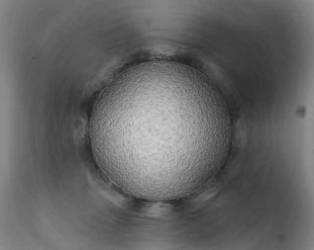 X0000111240463200907091403