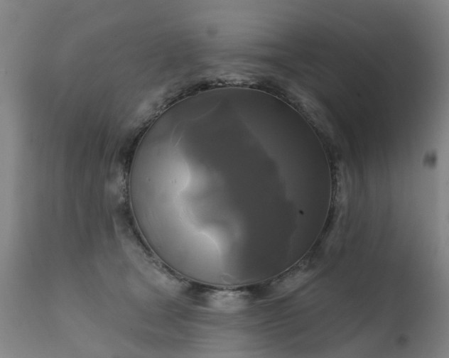 X0000111240465200907091403