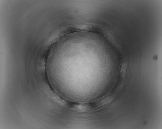 X0000111240466200907091403