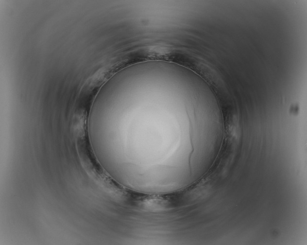 X0000111240468200907091403