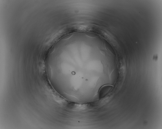 X0000111240469200907091403