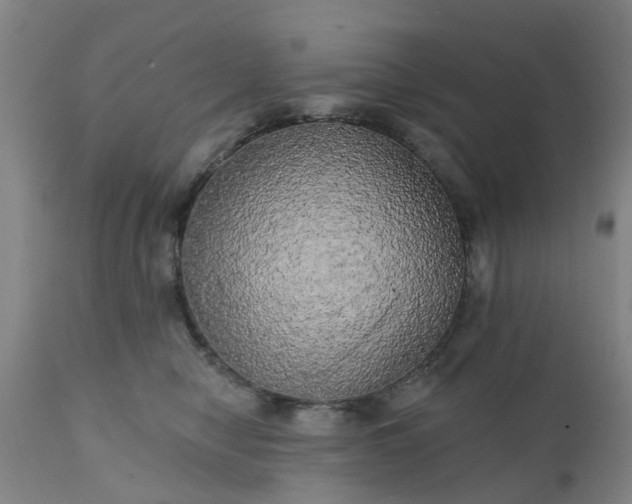 X0000111240470200907091403