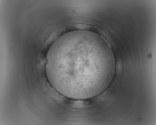 X0000111240473200907091404