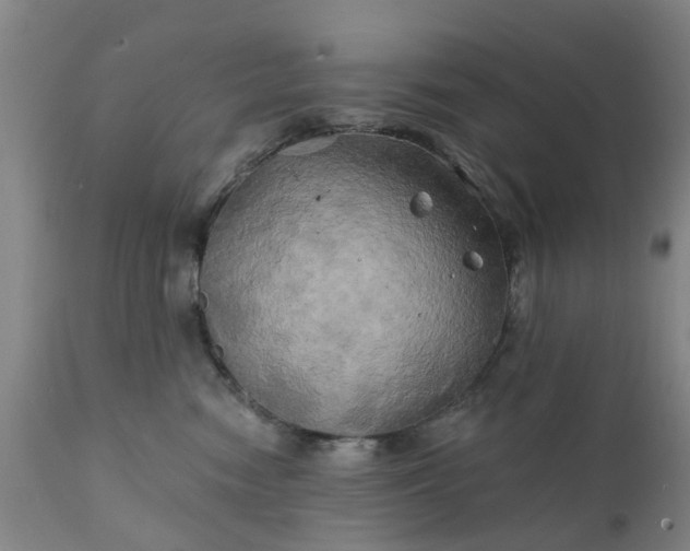 X0000111240474200907091404