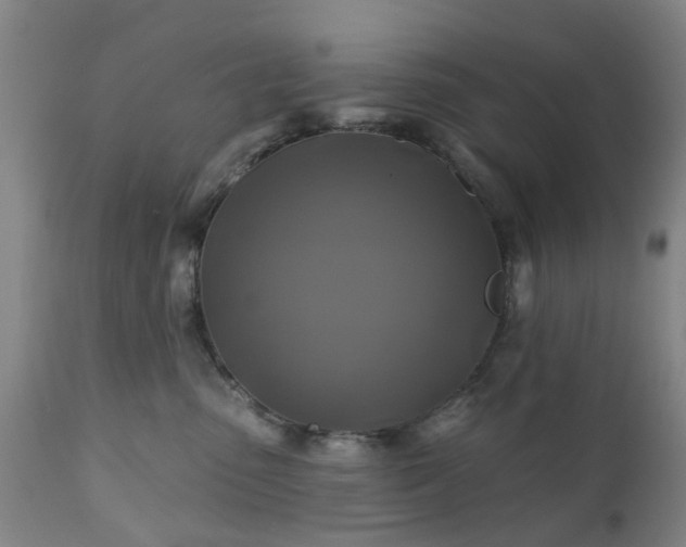 X0000111240475200907091404