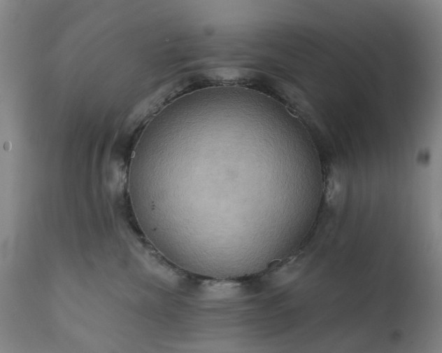 X0000111240476200907091404