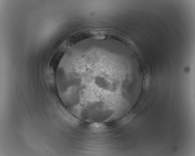 X0000111240477200907091404