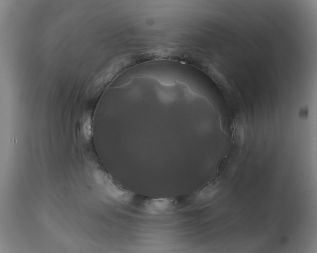 X0000111240479200907091404