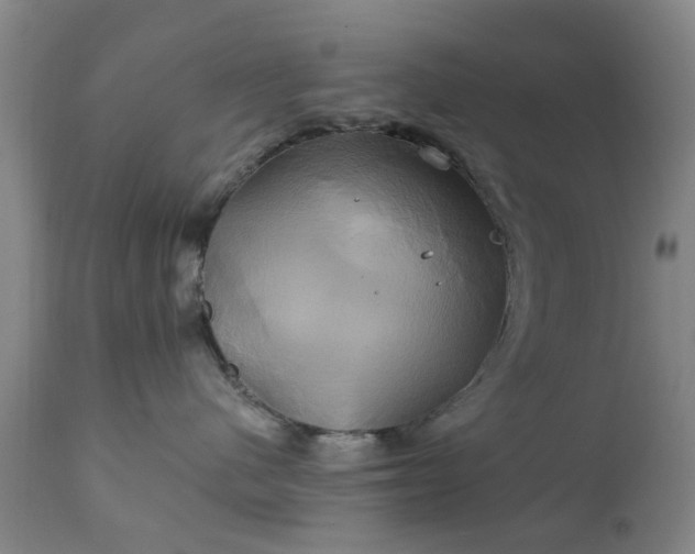 X0000111240480200907091404