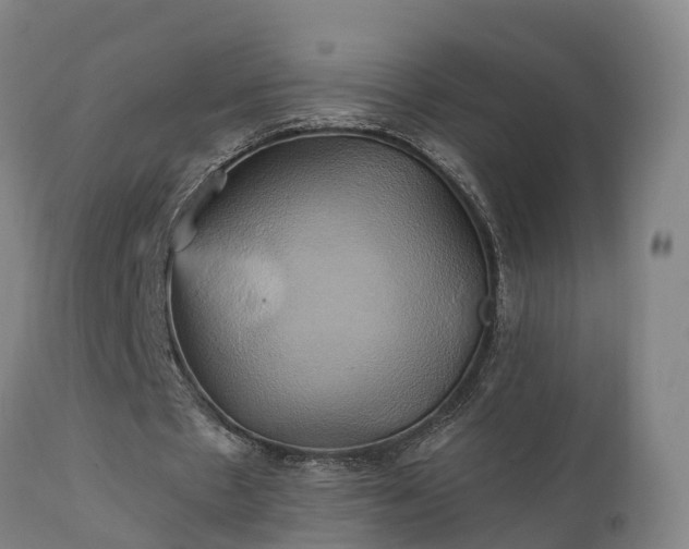 X0000111240481200907091403