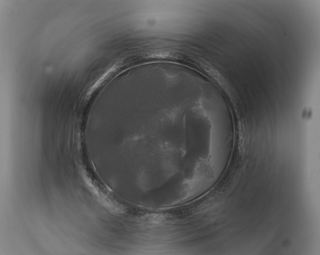 X0000111240482200907091403