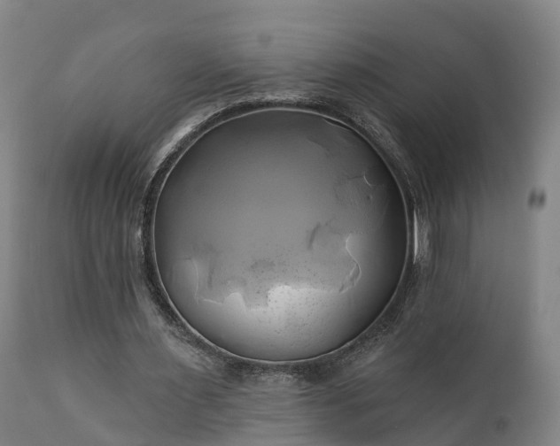 X0000111240483200907091403