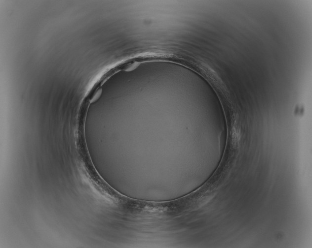 X0000111240484200907091403