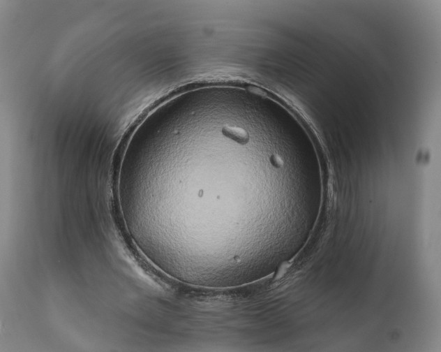 X0000111240485200907091403