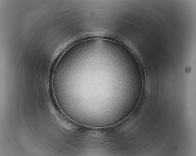 X0000111240486200907091403