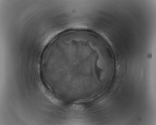 X0000111240487200907091403