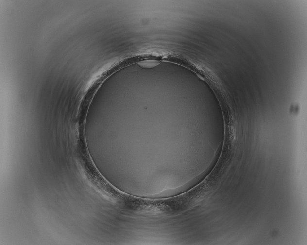 X0000111240488200907091403