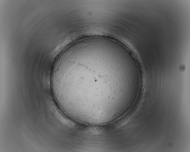 X0000111240489200907091403