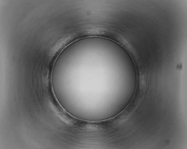 X0000111240490200907091403