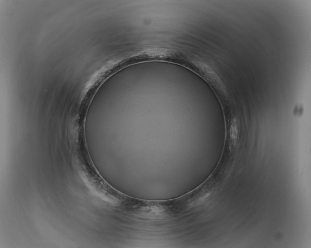 X0000111240492200907091403