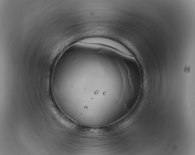 X0000111240493200907091403