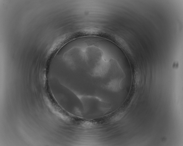 X0000111240494200907091403