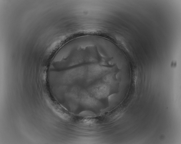 X0000111240495200907091403