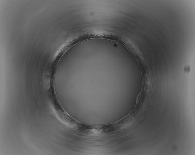 X0000111240496200907091403