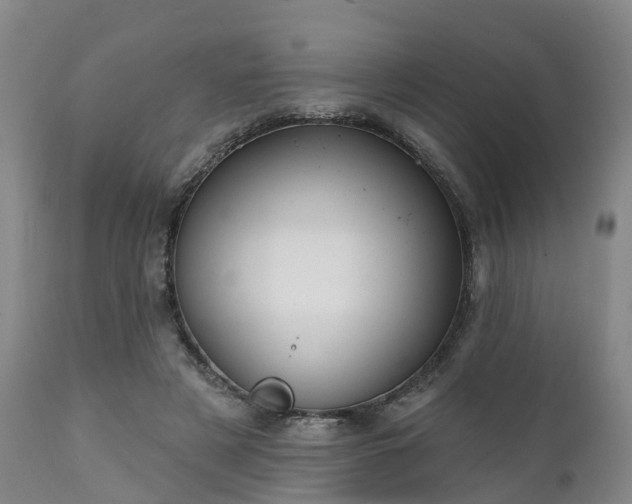 X0000111240497200907091403