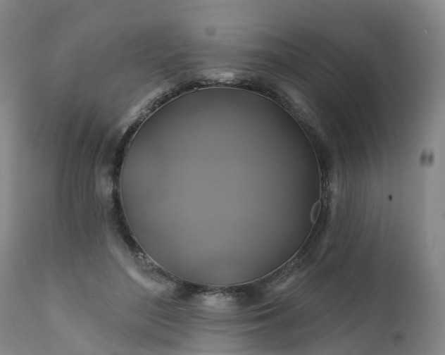 X0000111240500200907091403