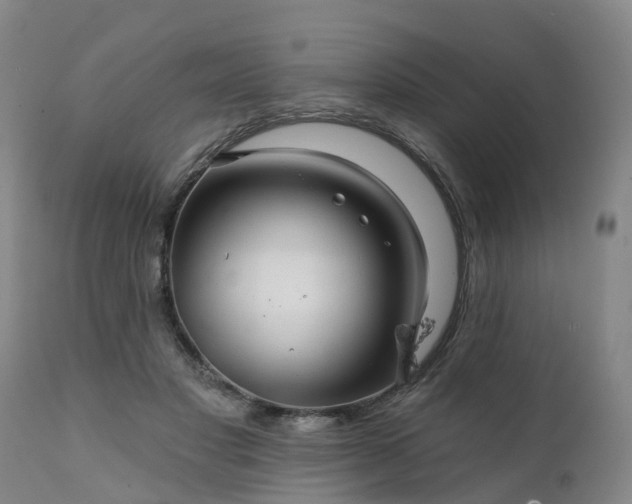 X0000111240501200907091403