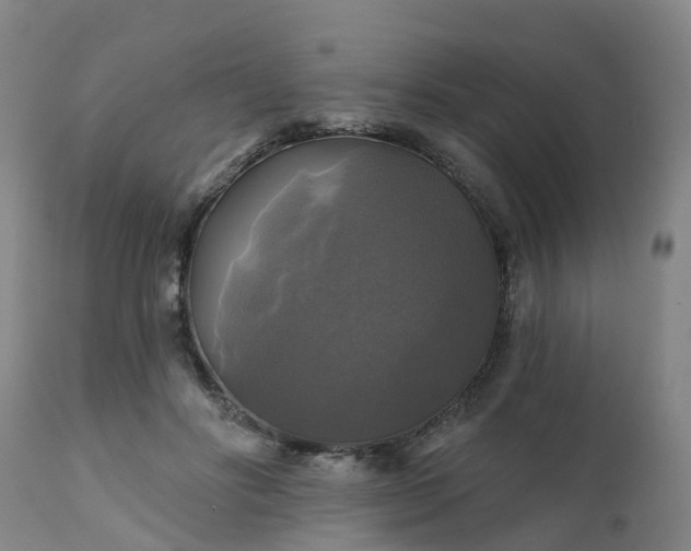 X0000111240502200907091403