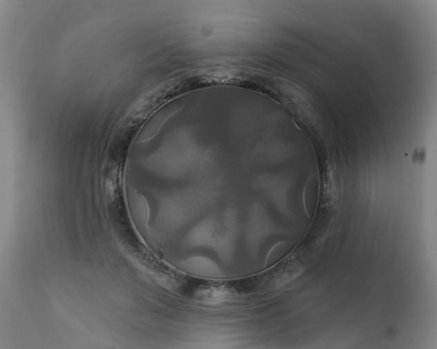 X0000111240503200907091403