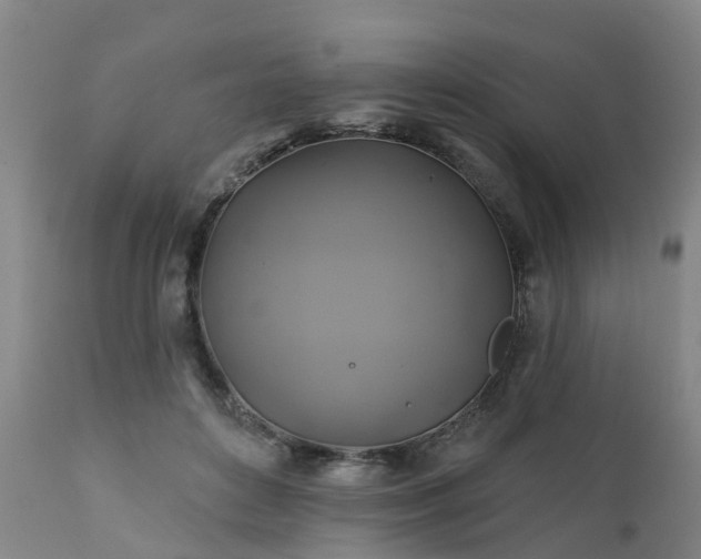 X0000111240504200907091403