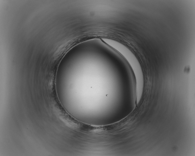 X0000111240505200907091402