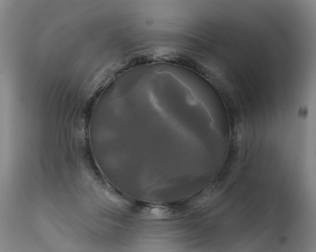 X0000111240506200907091402