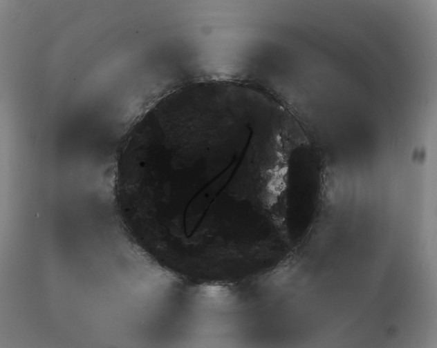 X0000111240509200907091402