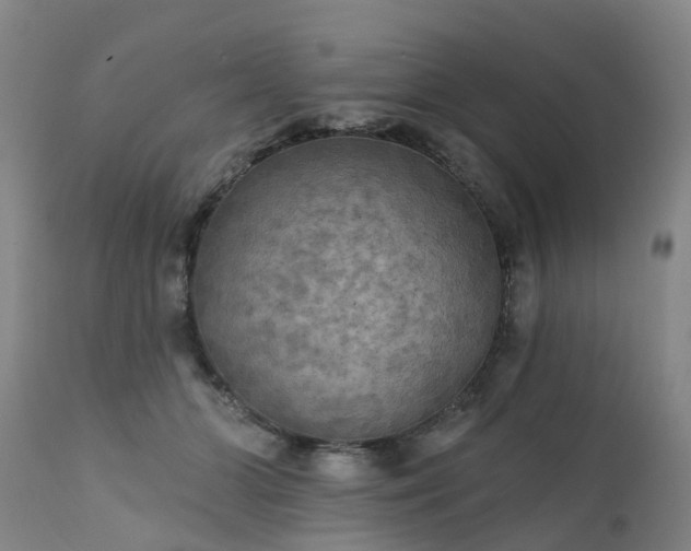 X0000111240510200907091402