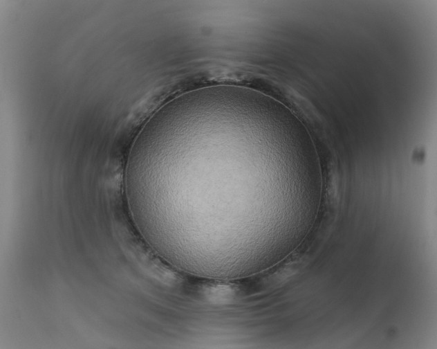 X0000111240513200907091402