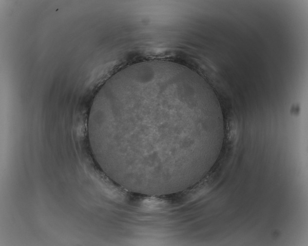 X0000111240515200907091402