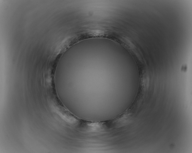 X0000111240516200907091402