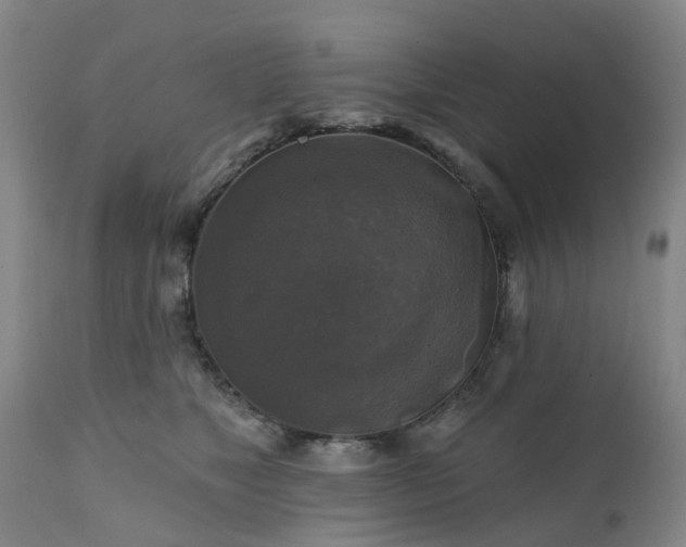 X0000111240517200907091402